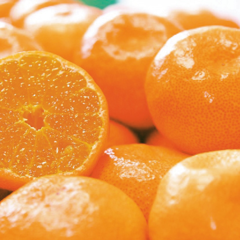 <お歳暮>有田みかん5kg