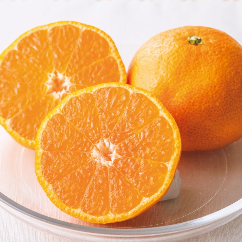 <お歳暮>愛媛・西宇和産 段々畑の温州みかん