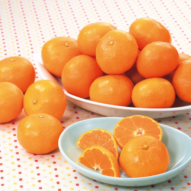 <お歳暮>紀州木熟小みかん