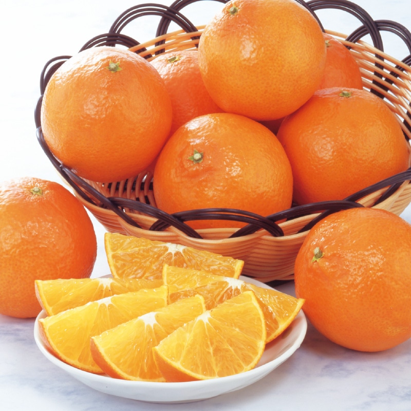 <お歳暮>杵築の美娘(みこ)