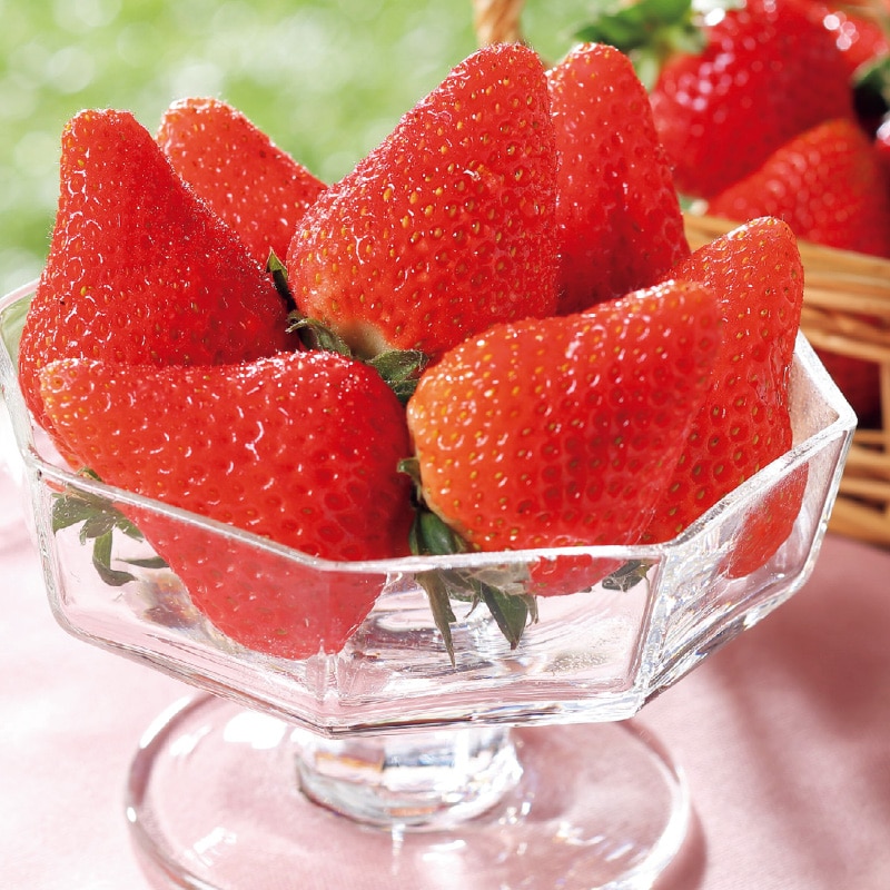 <お歳暮>季節のいちご