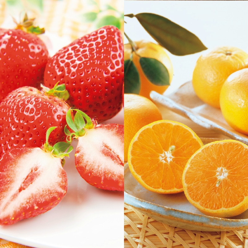 <お歳暮>あまおう苺とみかん詰合せ