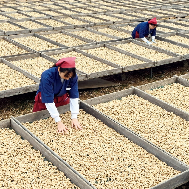 <お歳暮>落花生詰合せ