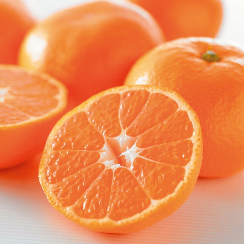 <お歳暮>愛媛みかん5kg