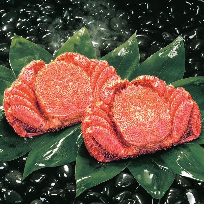 <お歳暮>北海道産毛がに 1kg(2杯)