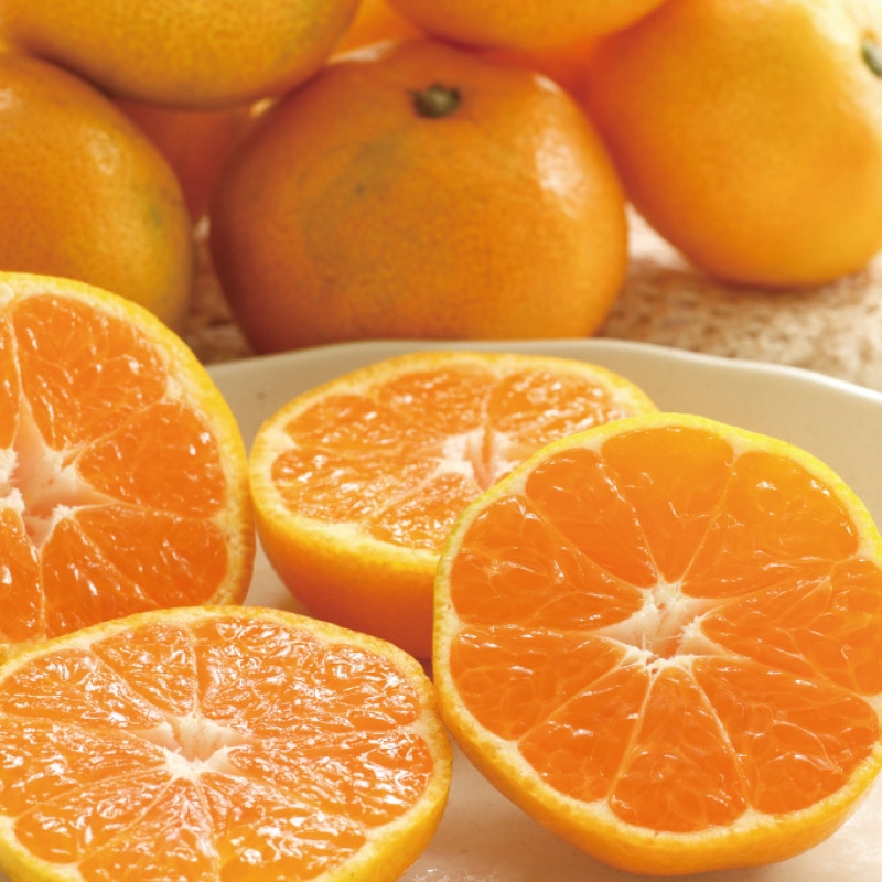 <お歳暮>ブランドみかん食べ比べセット