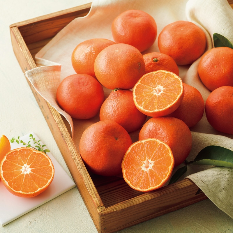 <お歳暮>香川県生まれの紅色みかん 小原紅早生