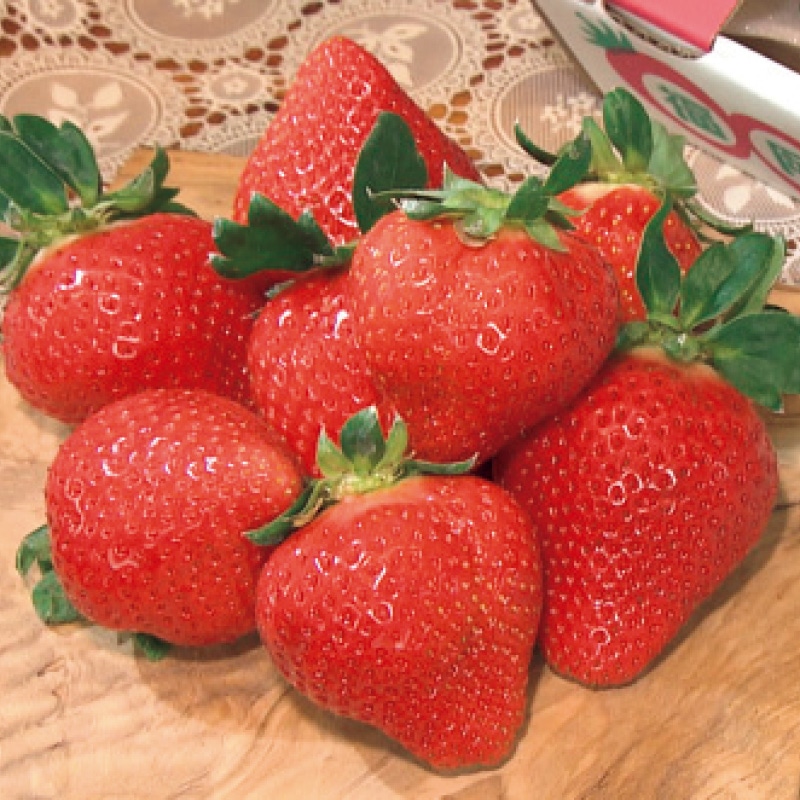 <お歳暮>福岡県産特別栽培 朝採り「あまおう」苺ギフトセット