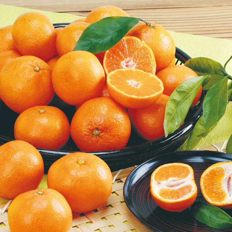 <お歳暮>(糖度12度以上選果)和歌山県産 みかん