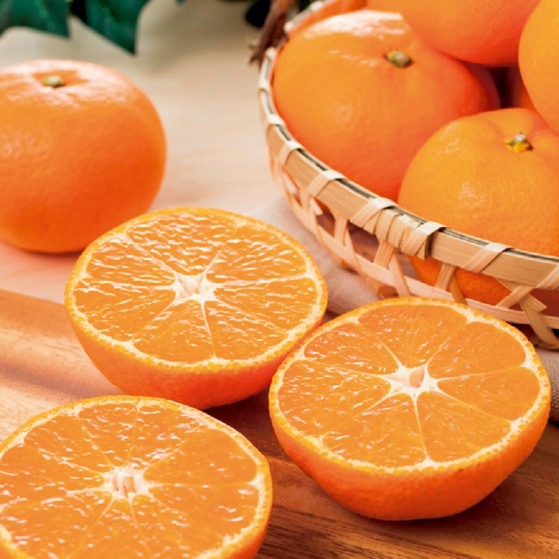 <お歳暮>にしうわみかん 5kg