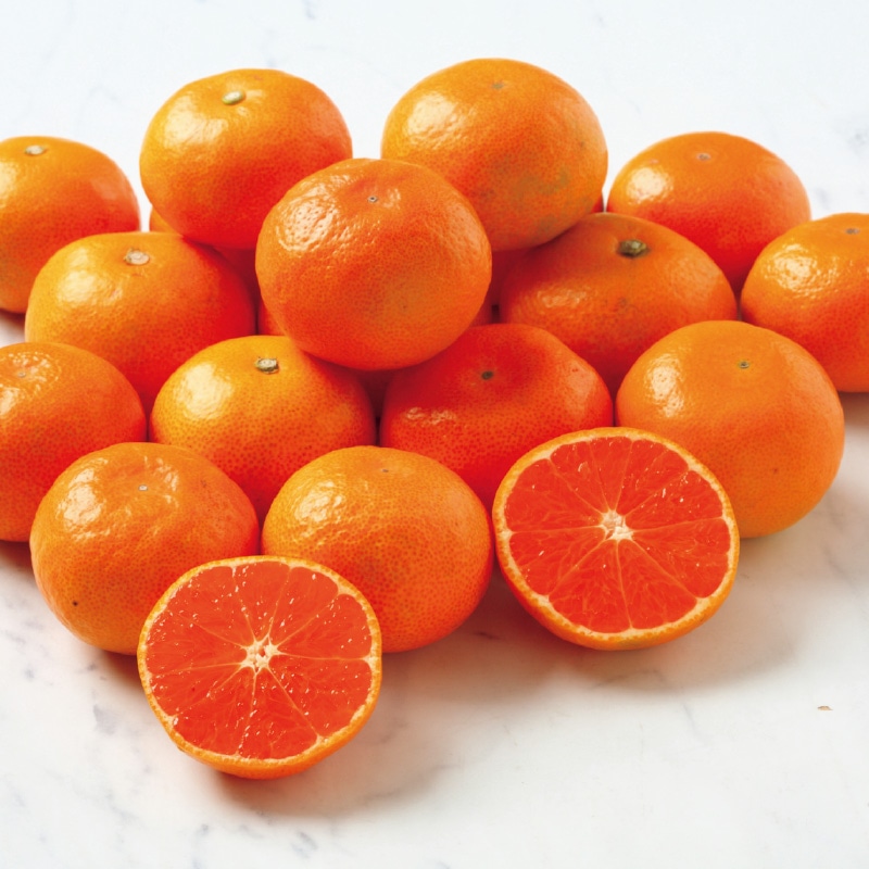 <お歳暮>長崎西海みかん(糖度13度以上)