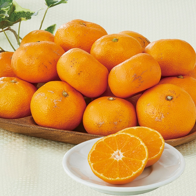 Ε遄ixPQxȏIʁj܂݂