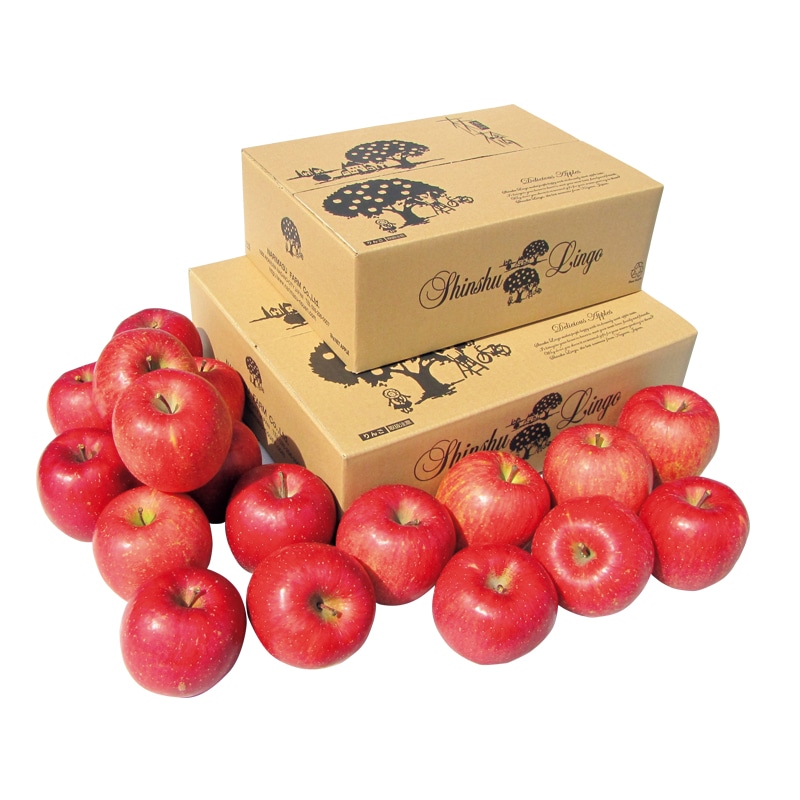 <お歳暮>サンふじ 5kg