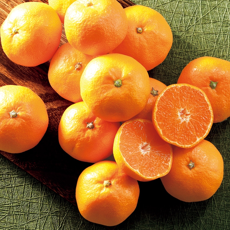 <お歳暮>三ヶ日みかん A