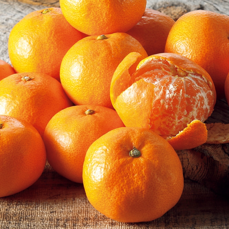 <お歳暮>三ヶ日みかん 4kg