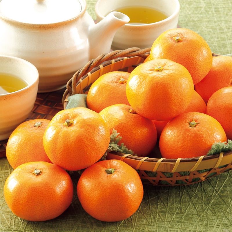 <お歳暮>三ヶ日みかん小玉早生