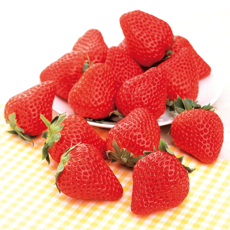 <お歳暮>静岡の紅ほっぺいちご 520g