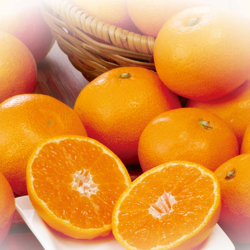 <お歳暮>有田プチみかん 4kg