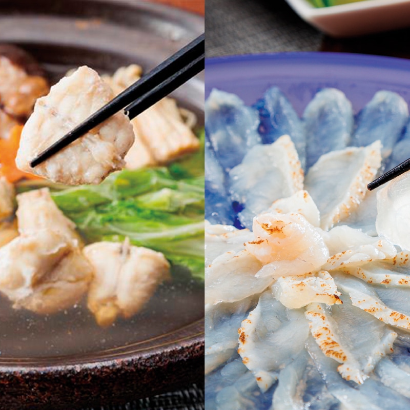 <お歳暮>讃岐でんぶく刺し盛とちり鍋セット5〜6人前