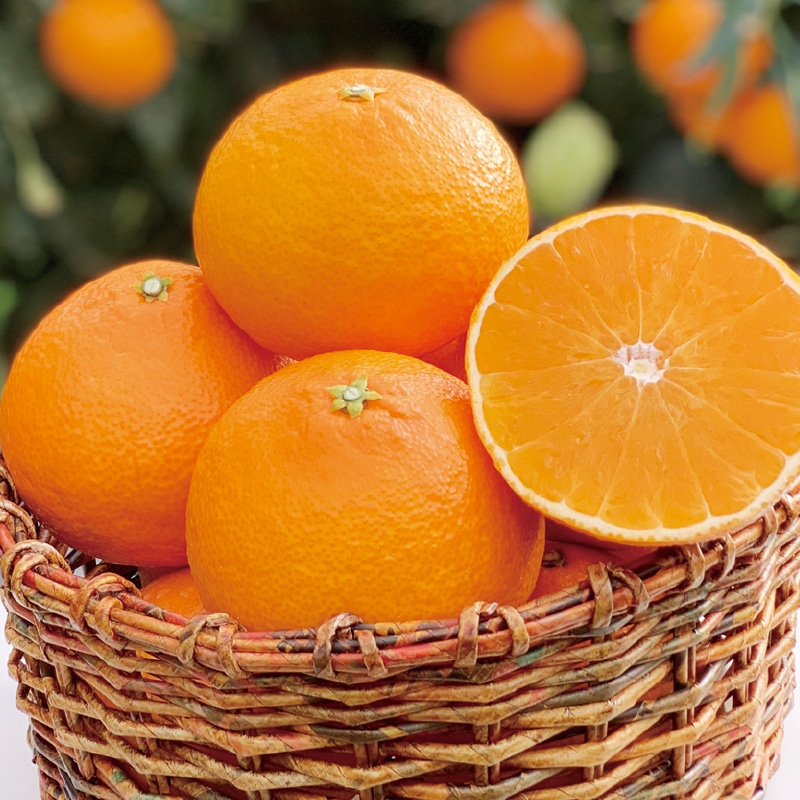 <お歳暮>月綺(つき)まどんな ギフトボックス