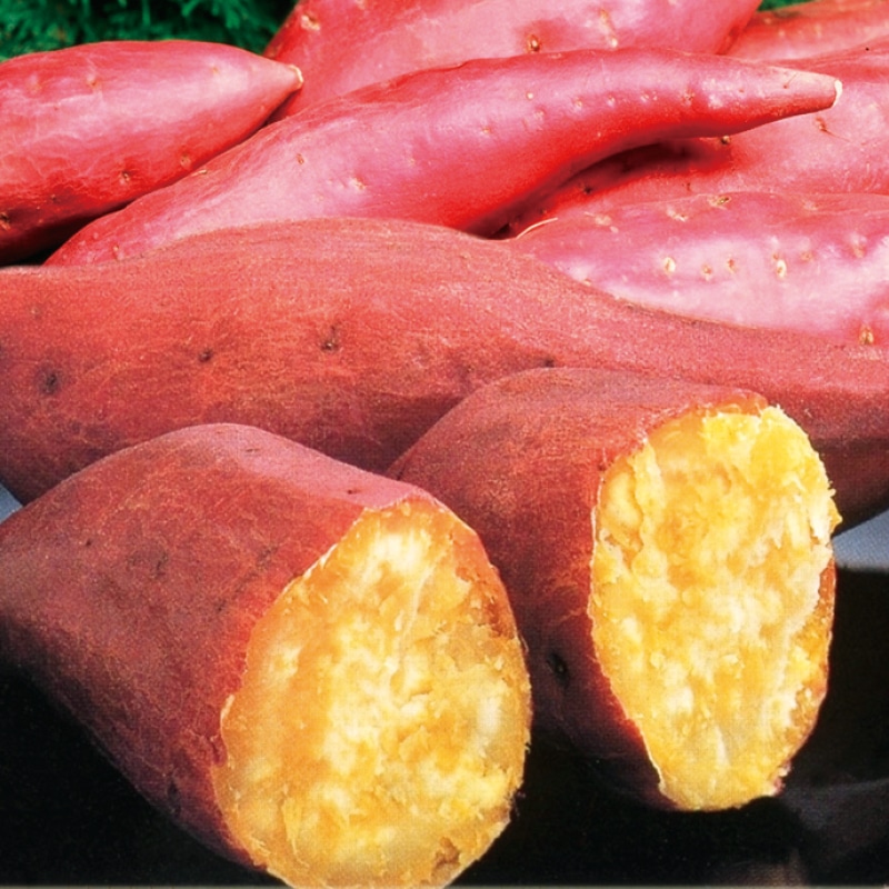 <お歳暮>なると金時