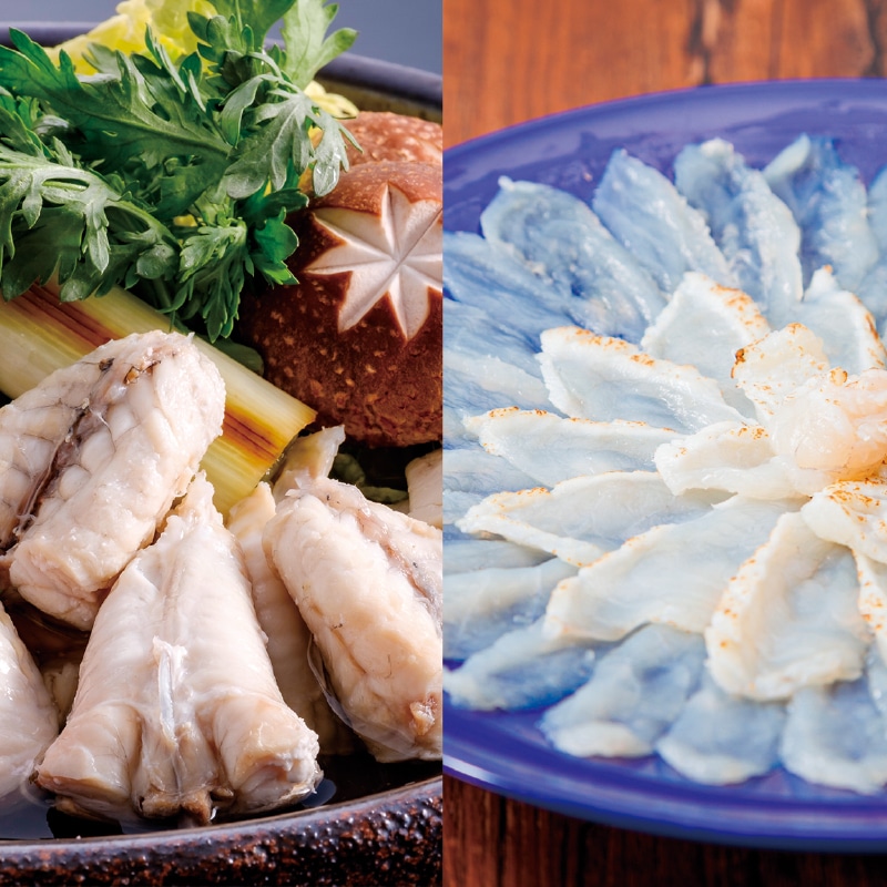 <お歳暮>讃岐でんぶく刺し盛とちり鍋セット