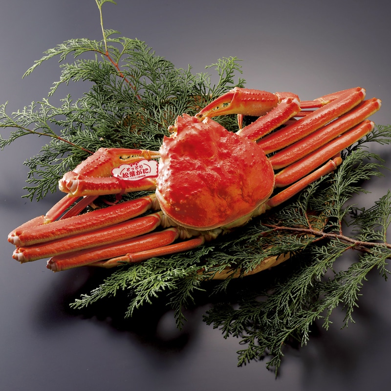 <お歳暮>鳥取県産 朝茹で松葉がに 700g