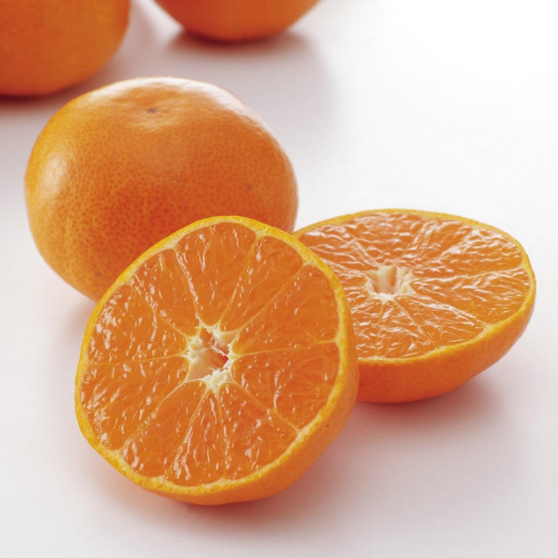 <お歳暮><日本橋 千疋屋総本店>出島の華みかん