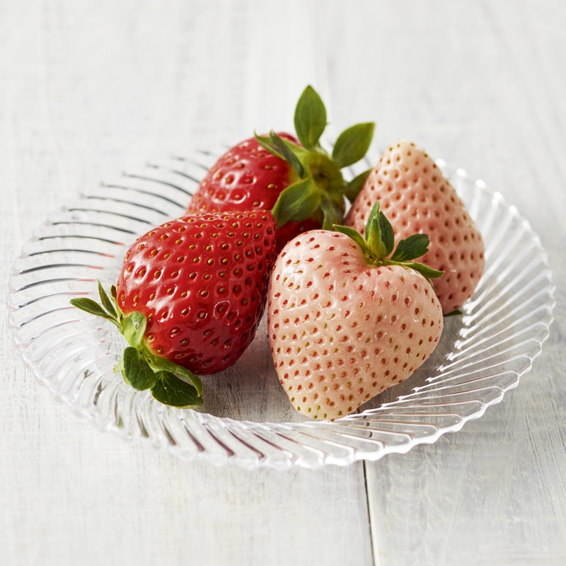 <お歳暮><定松>古都奈良の紅白いちご