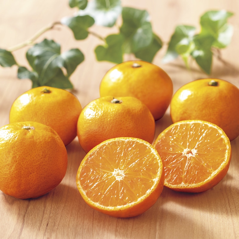 <お歳暮><日本の極み>高知県産 あま〜いみかん