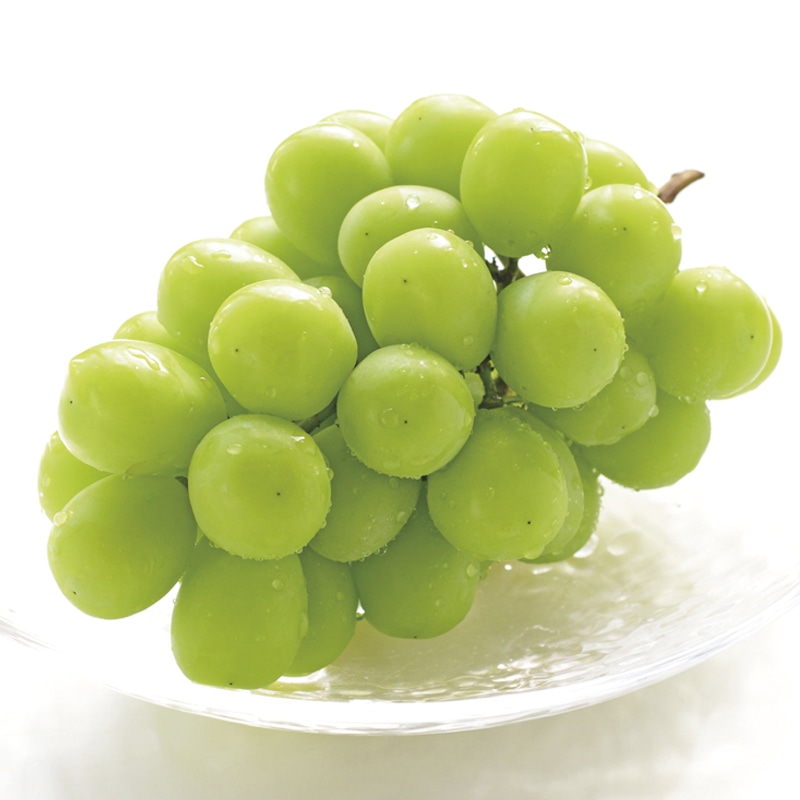 <お歳暮><山形の極み>山形県産シャインマスカット