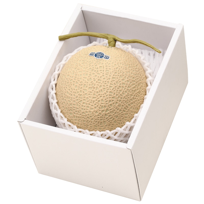 <お歳暮>静岡温室マスクメロン