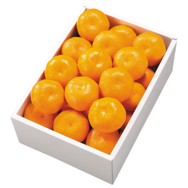 みかん2 さがみかん100％搾り 330ml×12本入: さが風土館 季楽|【JA