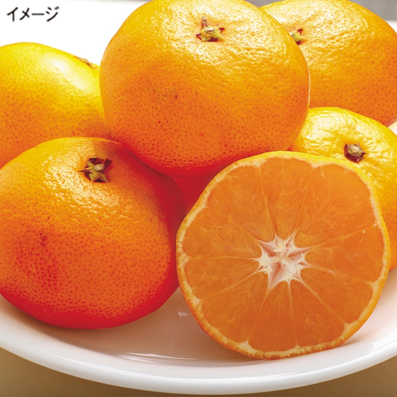 <お歳暮>和歌山有田みかん