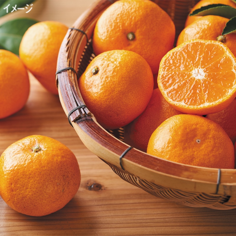 <お歳暮>長崎みかん 味ロマン