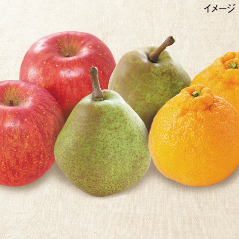 <お歳暮>冬の果実3種