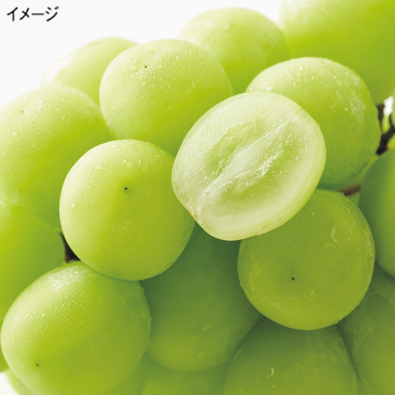<お歳暮>蔵出しシャインマスカット
