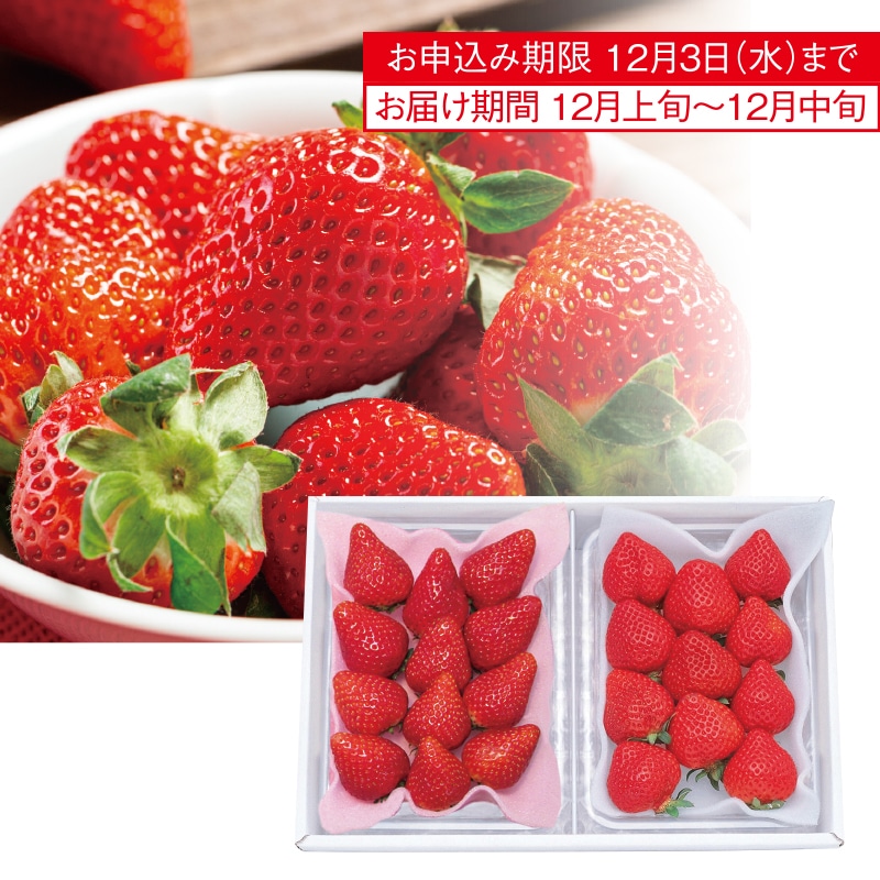 <お歳暮>苺食べ比べ(東日本版)
