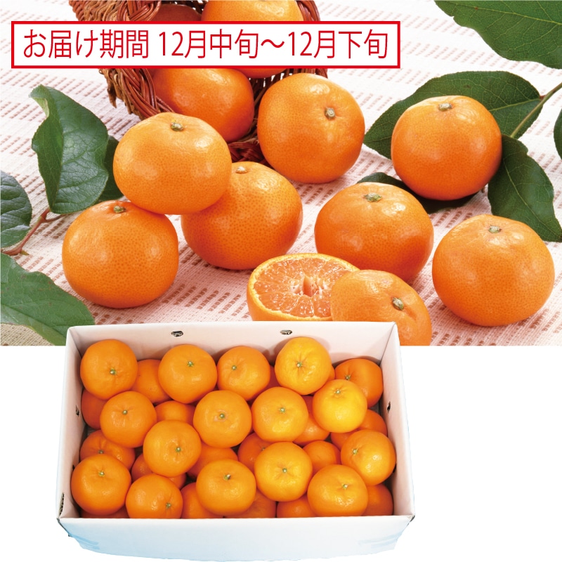 <お歳暮>紀南の紀州木熟小みかん(東日本版)