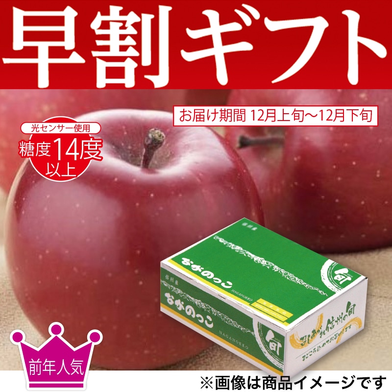 <お歳暮>ながのっこサンふじりんご3kg(東日本版)