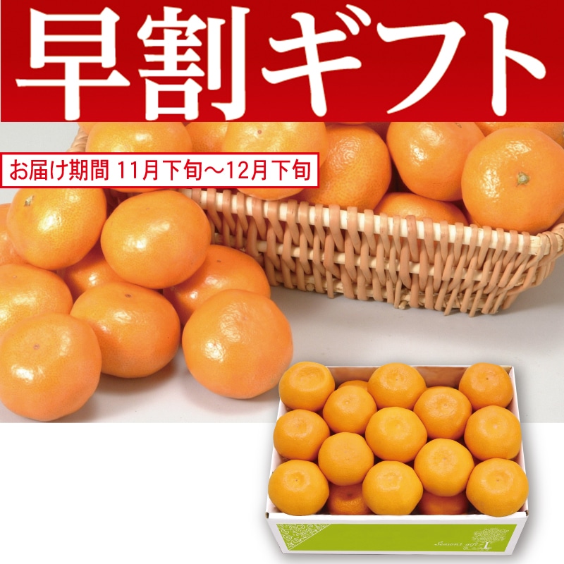 <お歳暮>静岡県産 三ケ日みかん(東日本版)