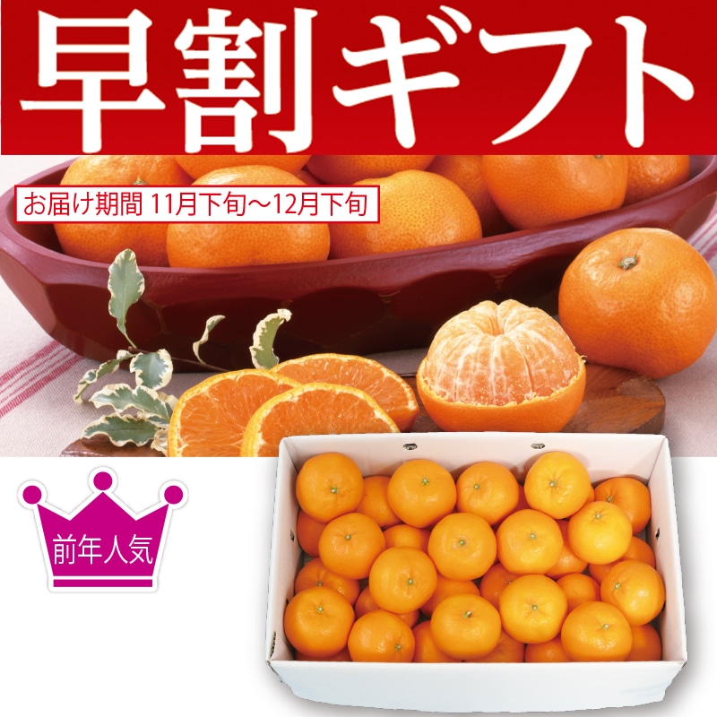 <お歳暮>愛媛みかん(東日本版)