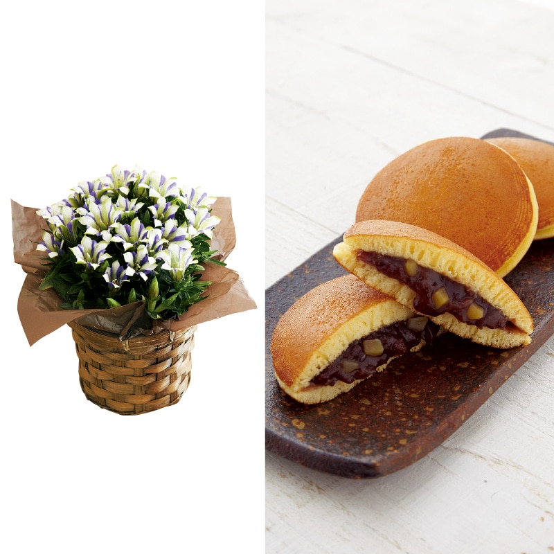 <敬老の日>りんどう「白寿」&栗入りどら焼き