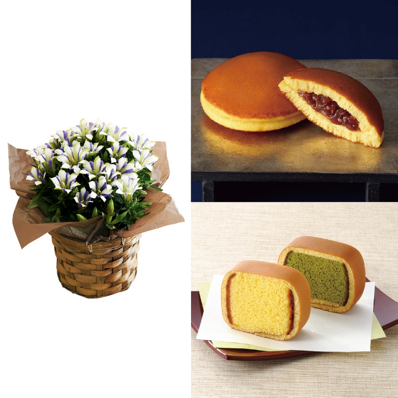 <敬老の日>りんどう「白寿」&三笠・カステラ巻詰合せ
