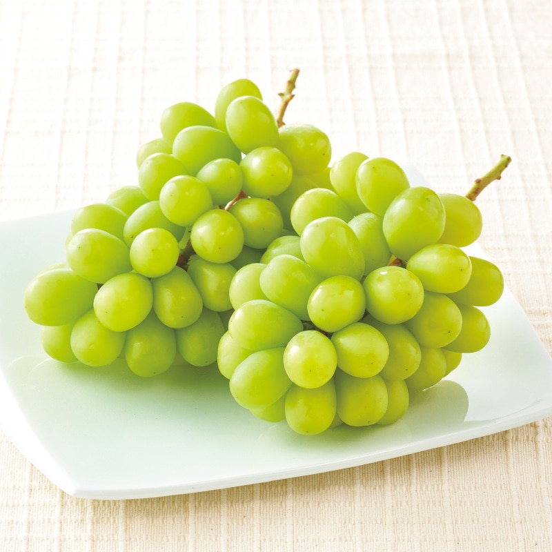 <敬老の日>シャインマスカット 1kg(2房)