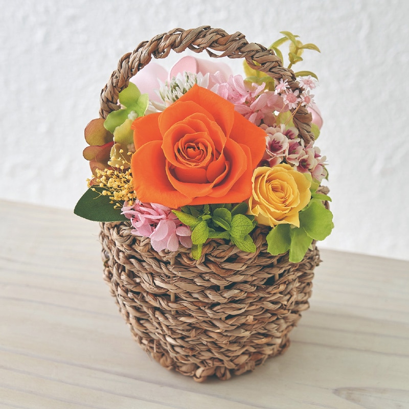 ����̓����v���U�[�u�h�t�����[�u�}���V�F�v