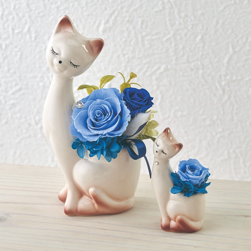 ����̓����v���U�[�u�h�t�����[�u���u���[�L���b�g�v