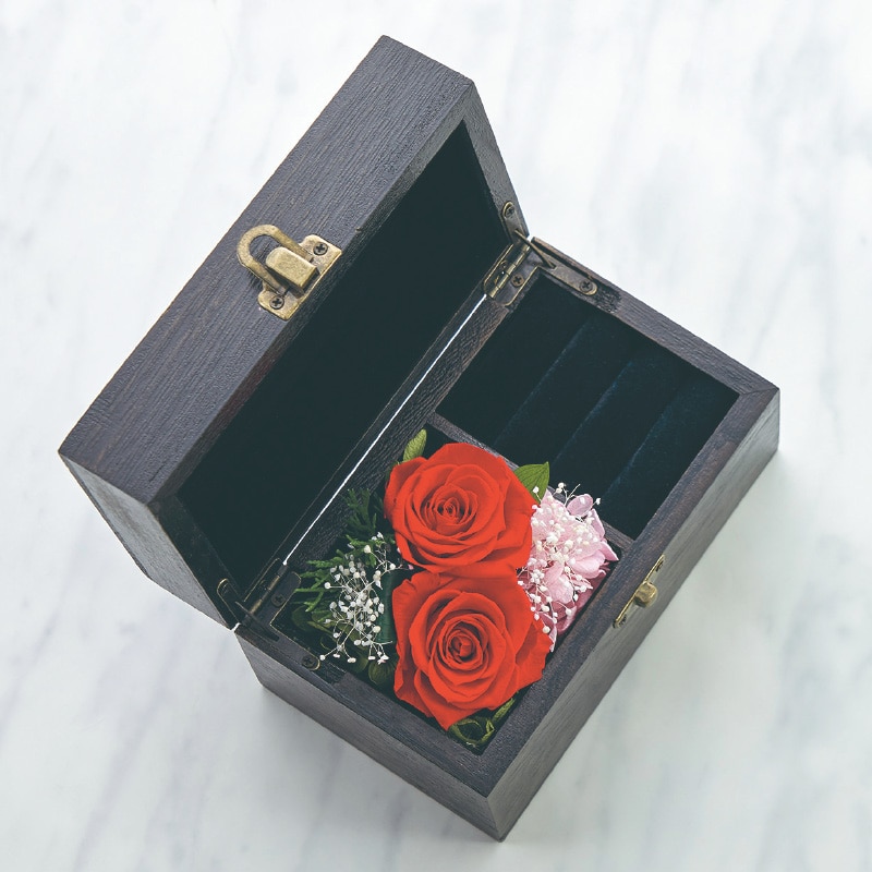 ����̓����v���U�[�u�h�t�����[�u�W���G���[�{�b�N�X�v