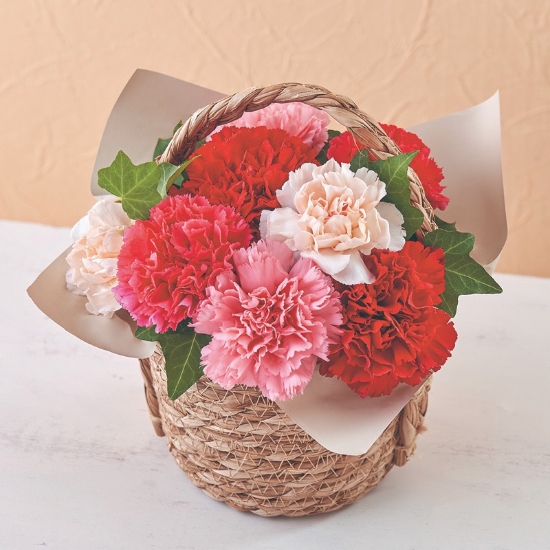 ����̓����A�����W�����g�u�V�����h�t���[���v