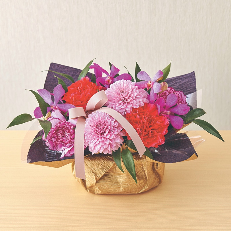 ����̓����a���A�����W�����g�u�D�؁v